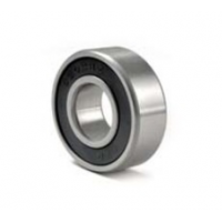 Brilix - SKF Explorer bearings 6202-2RSH - FXP (SS), BS I, BS II, FCP-S pumps